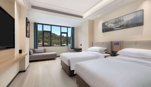 Chambre Deluxe, 2 lits une place, non-fumeurs