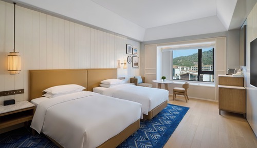 Chambre, 2 lits une place, vue montagne