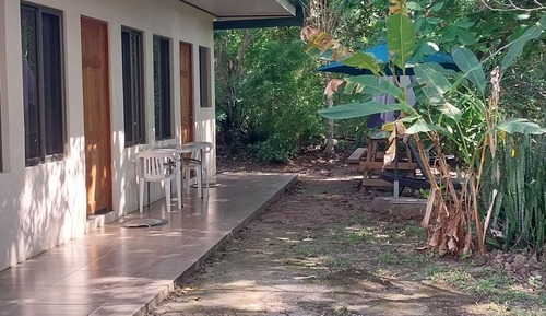 Chambre Standard, patio, vue jardin