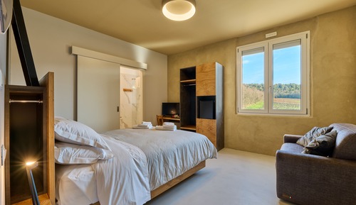 Chambre Triple Junior, vue vignoble
