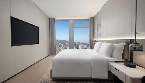 Suite, 1 chambre