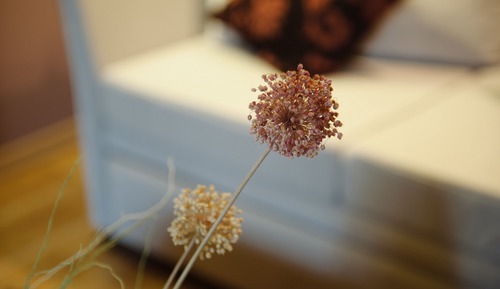 Suite Junior, accessible aux personnes à mobilité réduite, vue montagne