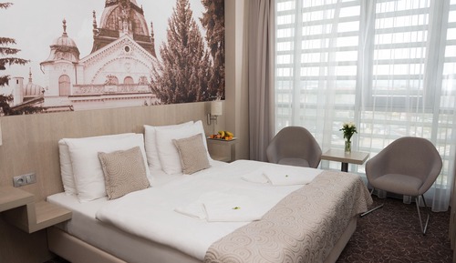 Suite Affaires, 1 chambre