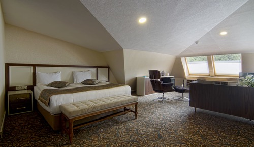 Chambre Supérieure Double ou avec lits jumeaux, 1 lit double et 1 canapé-lit