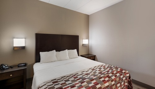 Chambre Standard, 1 très grand lit