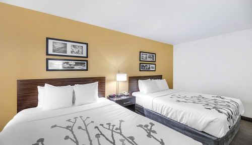 Chambre Standard, 2 grands lits, non-fumeurs