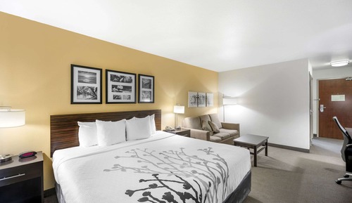Suite, 1 très grand lit et 1 canapé-lit, non-fumeurs