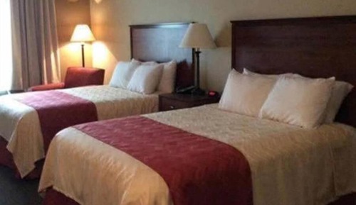 Chambre Standard, 2 grands lits