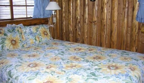 Cabane Standard, vue montagne