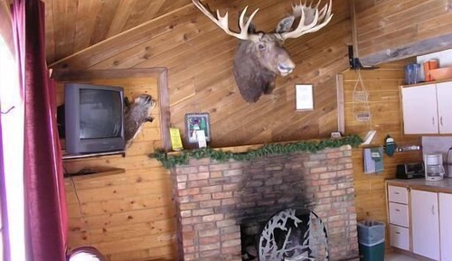 Cabane