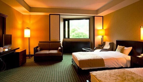 Chambre Deluxe avec lits jumeaux
