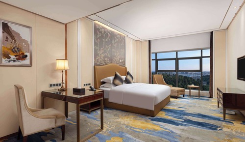 Chambre Deluxe, 1 très grand lit, fumeurs