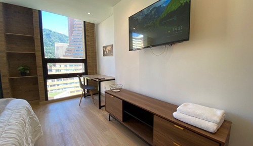 Appartement, 1 chambre, cuisine, vue parc