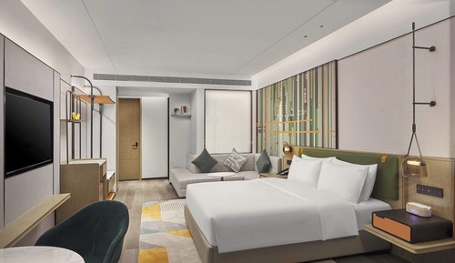 Chambre Standard, 1 très grand lit
