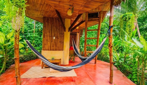 Tree House, vue jardin
