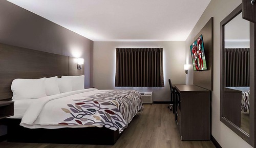 Chambre, 1 grand lit, accessible aux personnes à mobilité réduite (Mobility, Roll-in Shower)