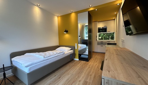 Chambre Simple Deluxe, accessible aux personnes à mobilité réduite, salle de bains attenante