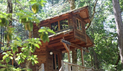 Tree House