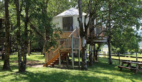 Tree House