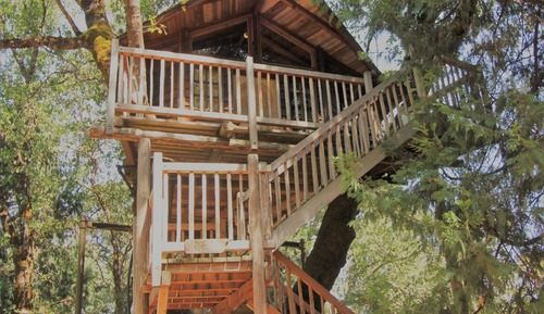 Tree House