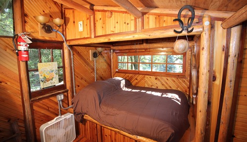 Tree House, vue établissement