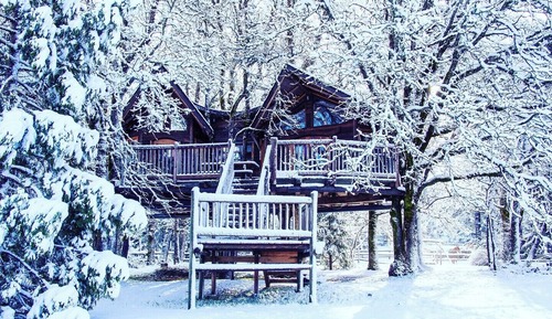 Tree House, vue piscine