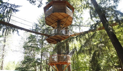 Tree House, vue vallée