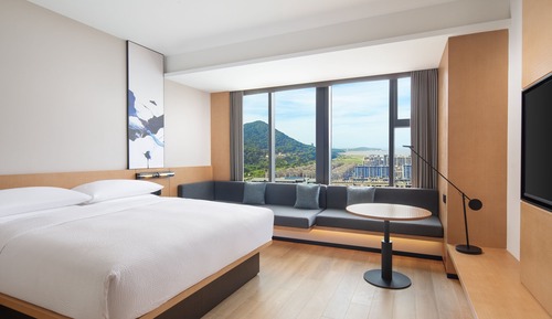 Chambre Standard, 1 très grand lit, vue ville