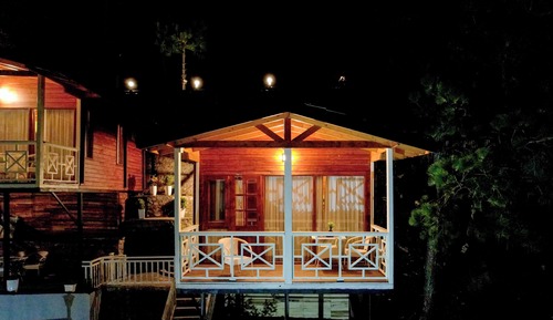Tree House Exclusive