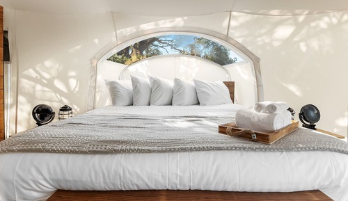 Stargazer Tent