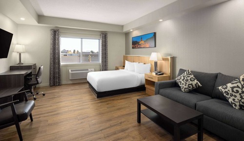 Chambre, 1 grand lit et 1 canapé-lit, non-fumeurs (Mobility, Roll-in Shower)