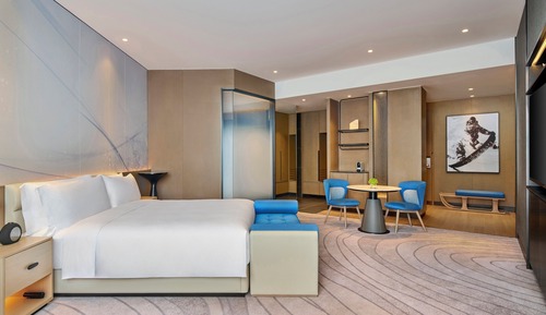 Chambre Premium, 1 très grand lit