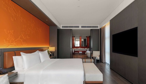 Suite Deluxe, 1 très grand lit