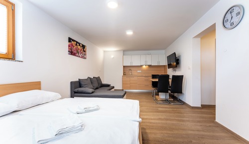 Appartement, 1 chambre, non-fumeurs, côté montagne