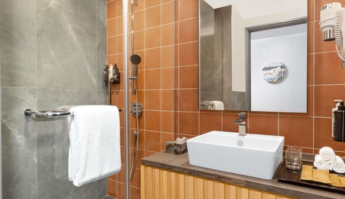 Chambre Standard, 1 grand lit