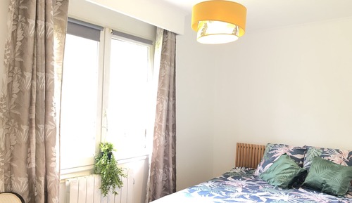 Chambre Double Design, salle de bains privée, vue fleuve (Chambre Tropicale)