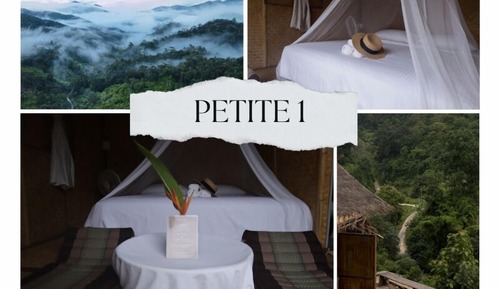 Basic House, 1 King Bed, Mountain View (Petite 1)