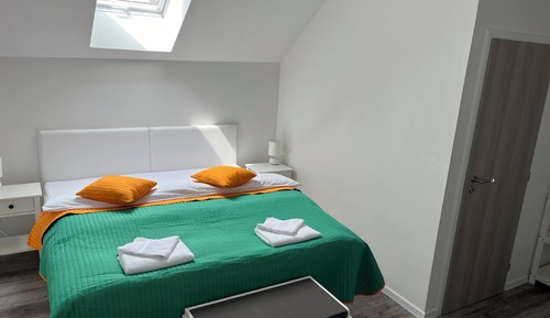 Habitación básica, 1 cama de matrimonio, baño privado