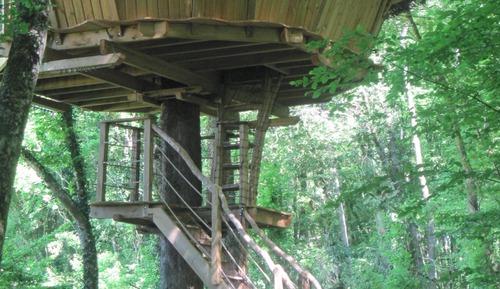 Tree House, vue jardin