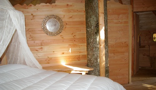 Tree House