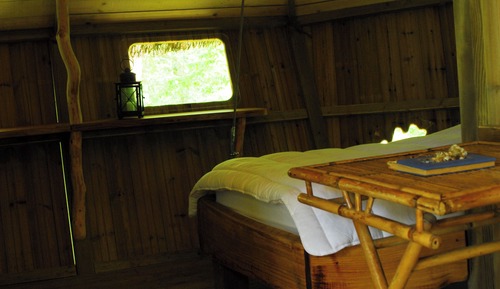 Tree House