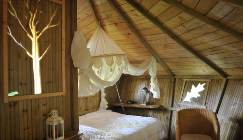 Tree House