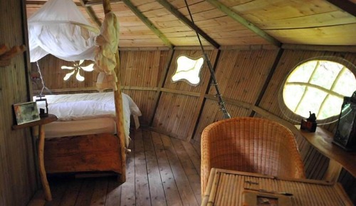 Tree House, vue jardin