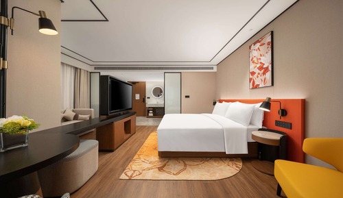 Chambre Premium, 1 très grand lit