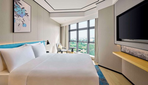 Suite Premium, 1 très grand lit