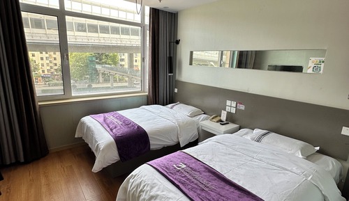 Chambre Luxe avec lits jumeaux, 2 lits une place, fumeurs, vue ville