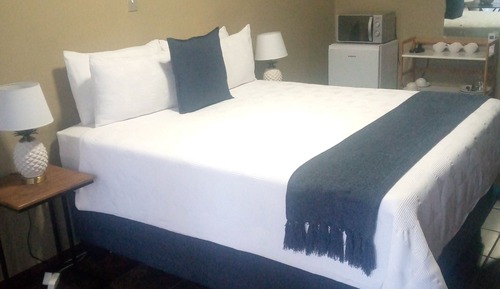 Chambre Double Confort, 1 grand lit