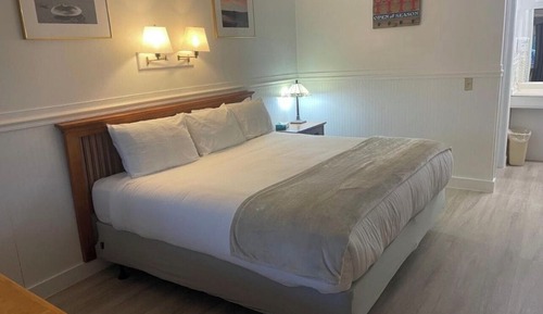 Chambre Premium, 1 très grand lit, salle de bains privée