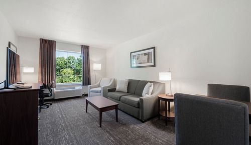 Suite, non-fumeurs (Single King Extended Stay )