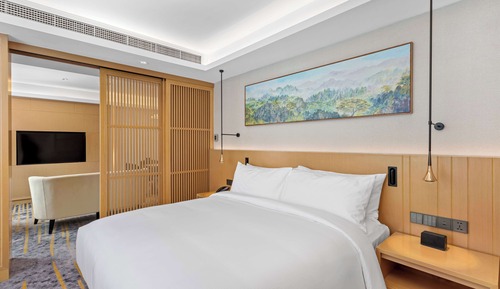 Chambre Deluxe, 1 très grand lit (Executive)